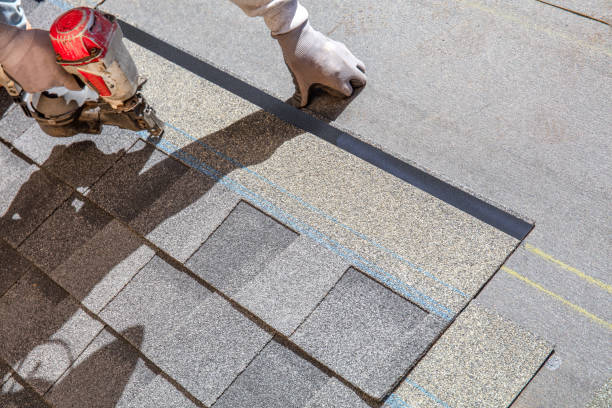 Best Storm Damage Roof Repair  in Frenchtown, NJ